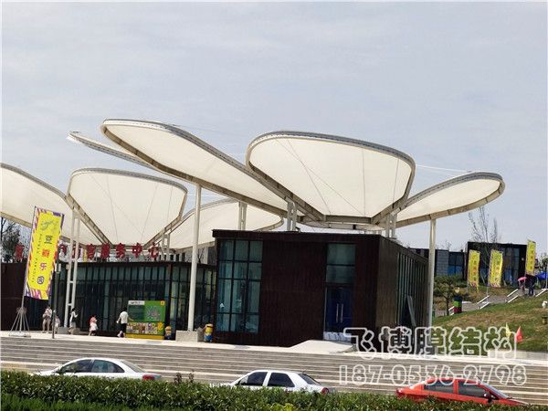 泰安市豆瓣乐园膜结构景观